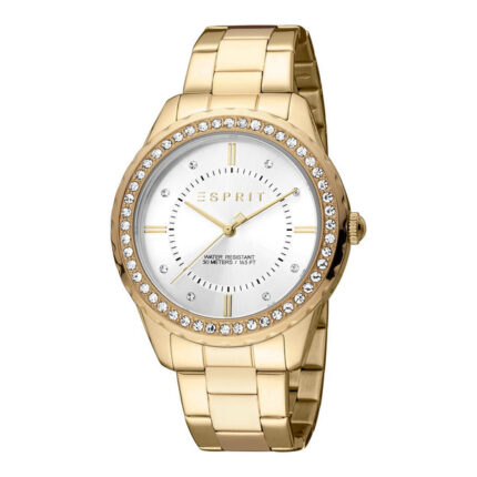 Ladies Skyler XL Watch (ES1L353M0085)