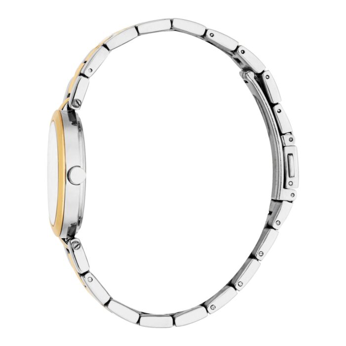Ladies Autumn Watch (ES1L455M0085) - Image 2