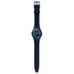 SIR BLUE - Image 2