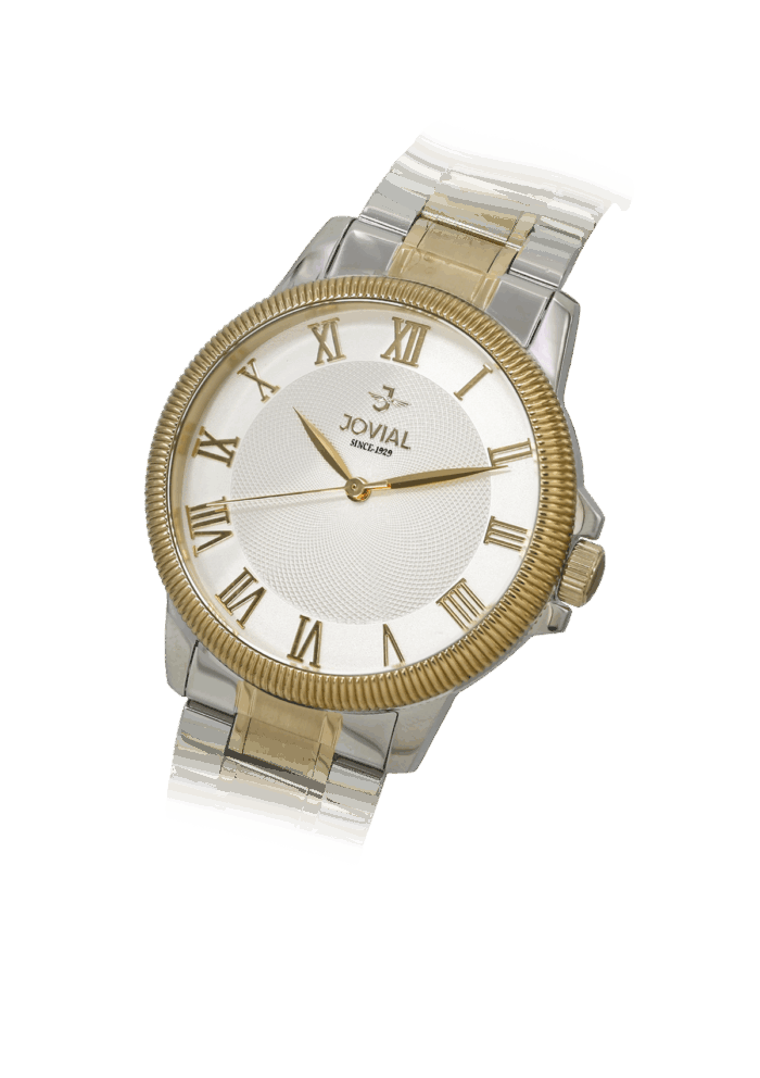 JOVIAL 5064LTMQ01E WOMEN WATCH - Image 2
